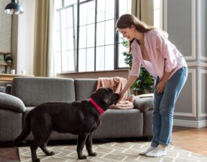 Read more about the article Healthy and Happy: Simple Tips for Raising a Well-Adjusted Dog