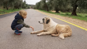 Read more about the article Keeping Puppies Engaged: Activities to Match Your Pup’s Energy
