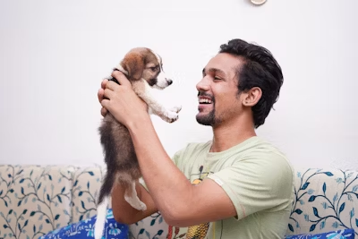 Why People Love Pet Stories