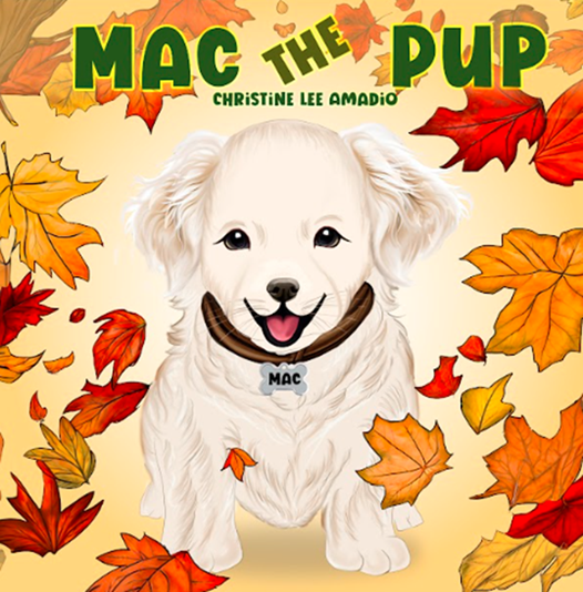Activities to Match Your Pup’s Energy